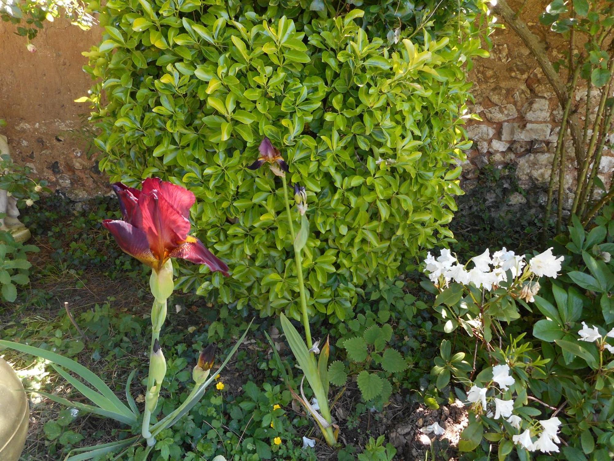 Le Gite De Lili Acquigny Exterior photo